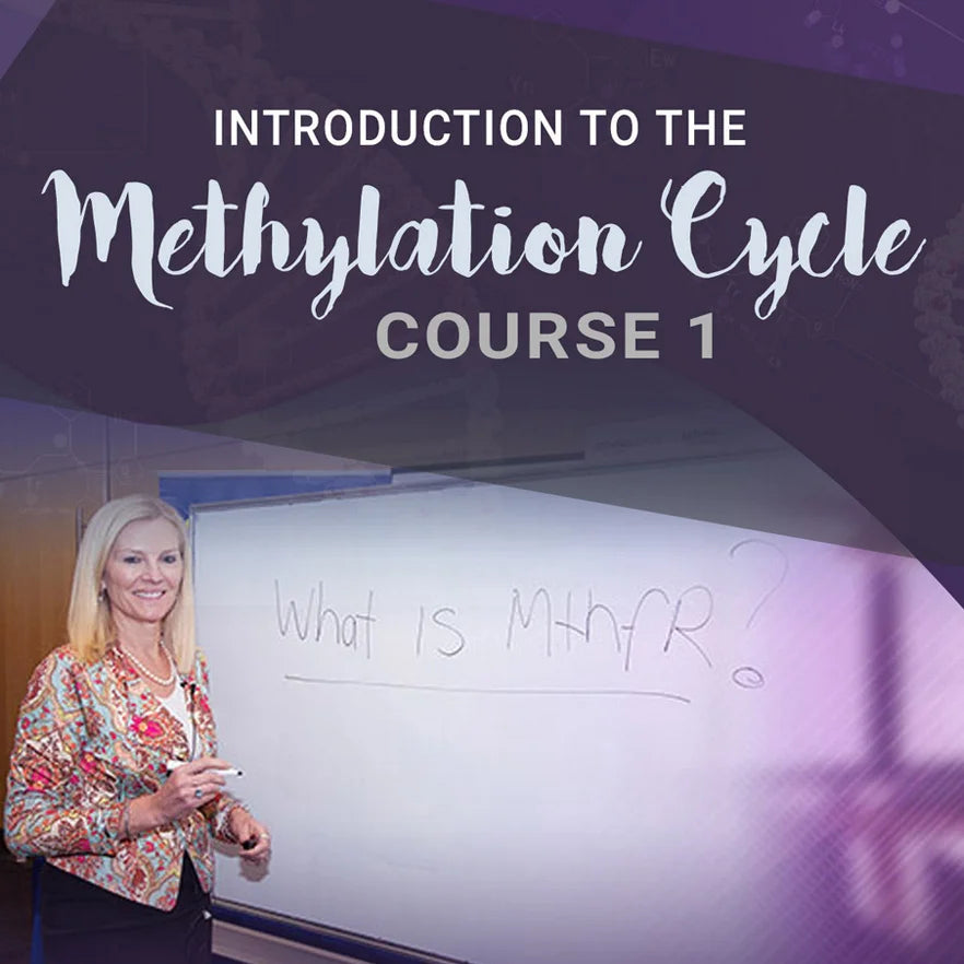 Introduction to the Methylation Cycles Course 1