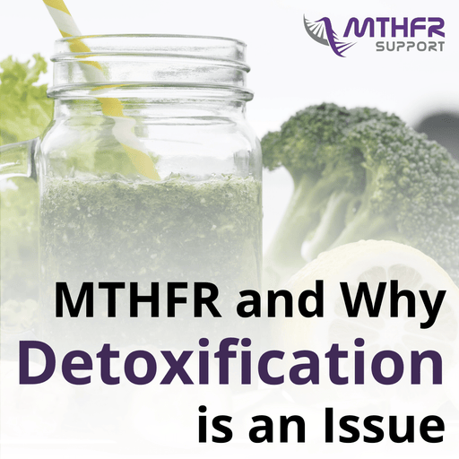MTHFR and Why Detoxification Is An Issue