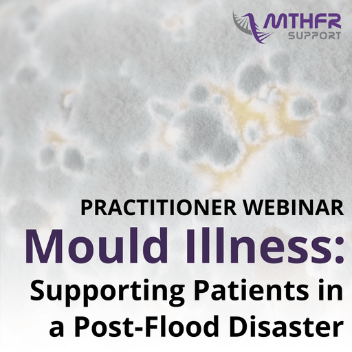 Mould Illness: Supporting Patients in a Post-Flood Disaster