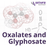 Oxalates and Glyphosate Webinar